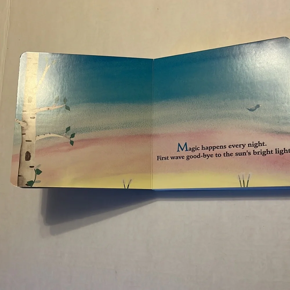 Touch the Brightest Star book